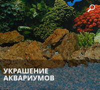 Украшение аквариумов